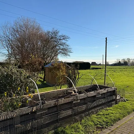 Apart25 I Free Parking I Free Wifi Apartmán Drensteinfurt